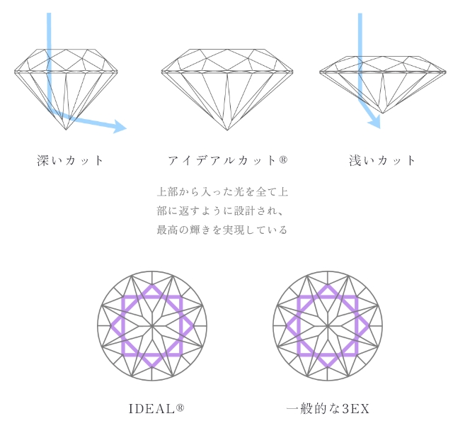 最高級の技術による完璧なプロポーション