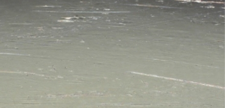 ４℃プレミアムプラチナ