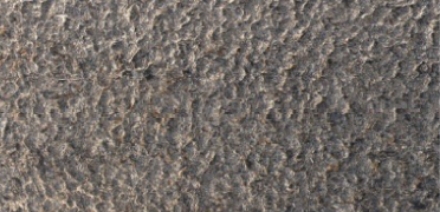 ４℃プレミアムプラチナ